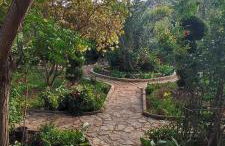 Villa Olive Island - Photo 34