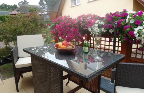 _The Rose_ - Foto 20