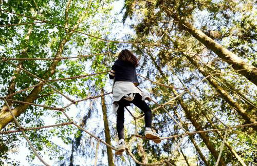 Gut Pälitzhof - Foto 5