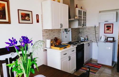 FoREST Heritage Apartment - Foto 4