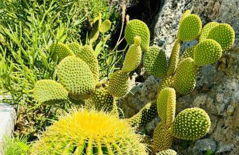 ARETI Sea View Mountain Cottage - Foto 74