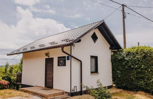 Dama s kamelijama - Foto 5