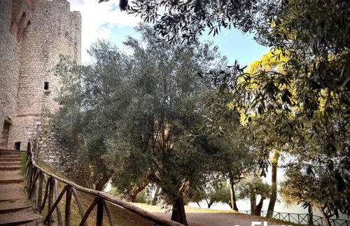 Alloggio Turistico Trasimeno II Castiglione Del Lago - Photo 43