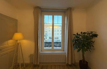 Appartement hyper-centre Épinal - Foto 6