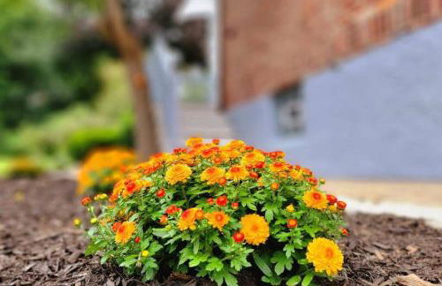 Unique & Peaceful Boston Home( Free Parking) - Foto 52