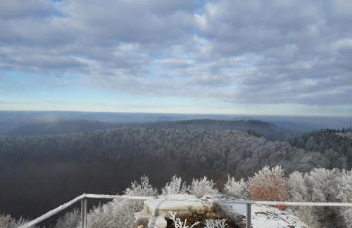 La petite halte - Foto 33