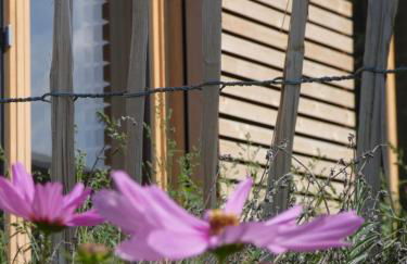 Stylische Fewo in Bestlage in neugebautem Holzhaus mit Oberstaufen Plus - Foto 21