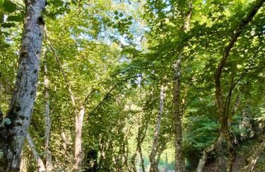 Maison au calme piscine mer au coeur de la nature U Nuciolu - Foto 13