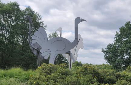 Martha - Ferienhaus, 3 Schlafzimmer, 2 bis 6 Personen, S-Bahn nach Berlin, Strausseenähe, ruhige Lage - Foto 22