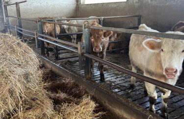 Agriturismo Carne Sicura - Foto 54