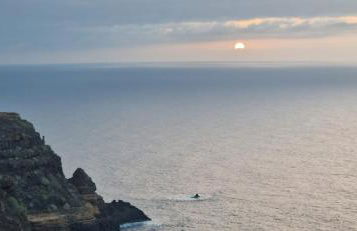 Lovely La Palmita - Foto 1