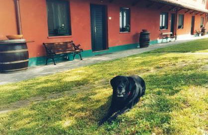 Agriturismo Isola Augusta - Photo 22