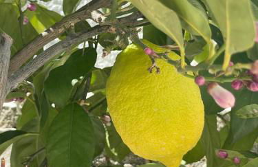 Villa Aqua Vista - Foto 68