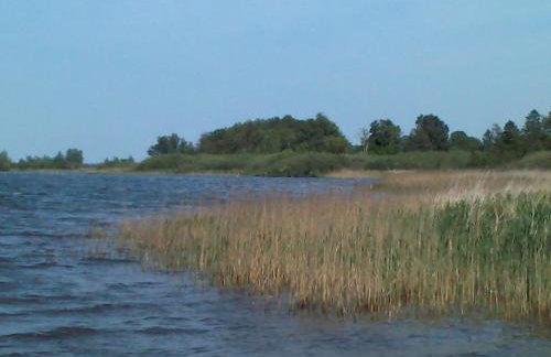 Müritzbrise 3 - Foto 17