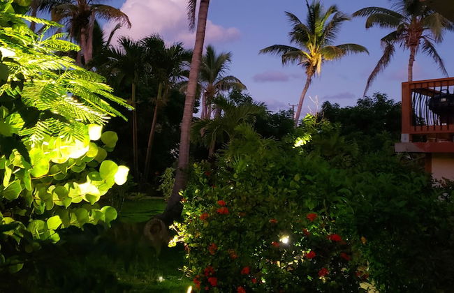 Bayview Vacation Apartments - Foto 32