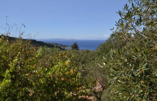 Villa Elaia Suites & Apartments No.1 - Photo 67