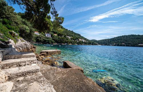 Apartments by the sea Ubli, Lastovo - 8344 - Foto 4