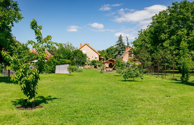 4 bedroom House in Kőröshegy with garden and terrace - Photo 24
