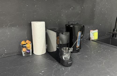 Petit Boudoir Lyonnais neuf terrasse climatisé - Foto 19