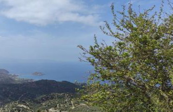 VILLA PENELOPE - Foto 9