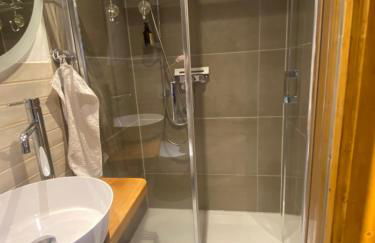 Mauersegler - Foto 8