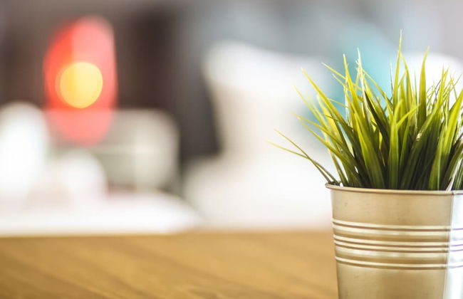 Pandora Homestay II - Foto 51