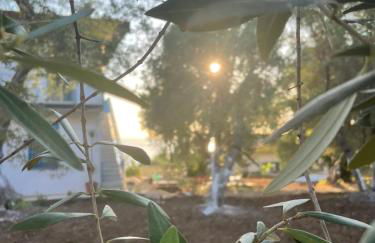 TENUTA TAURIANUM PanoramicHouse e PanoramicB&B - Photo 43