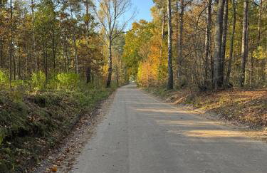 Warmia Domek Bukowy - Foto 34