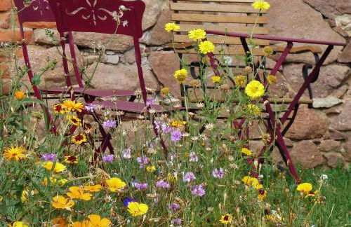 Quartier Rottewitz - Foto 28