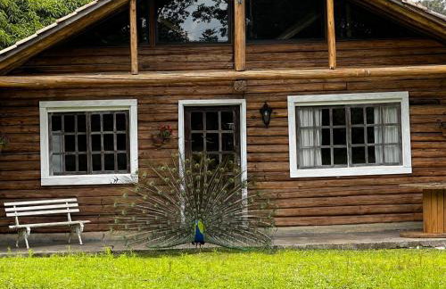 Cabana do Lago- Morro da Borússia - Foto 58