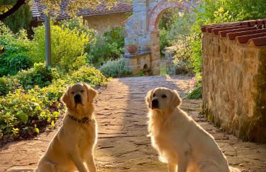 Poolhouse Oasi del Lupo - Foto 51