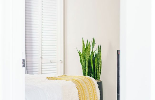 Jungle Gem Master house - Foto 9