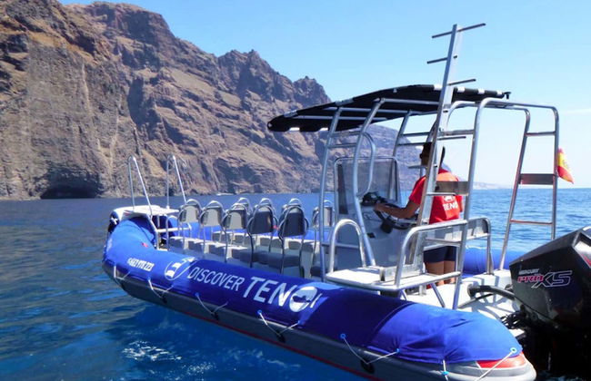 Paseo en barco por la Punta de Teno - Foto 1