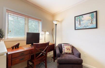 Mammoth Green #214 condo - Photo 25