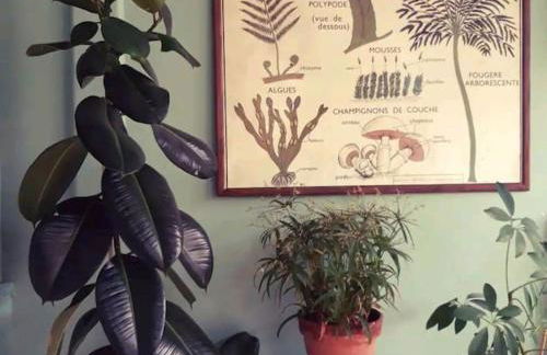 Maison Sollier - Foto 33