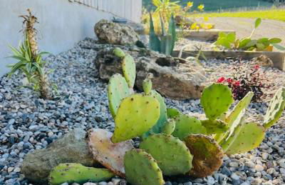 les gîtes de la côte - Foto 24