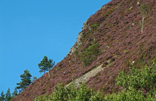 1 Bed in Alness oc-ca015 - Foto 22