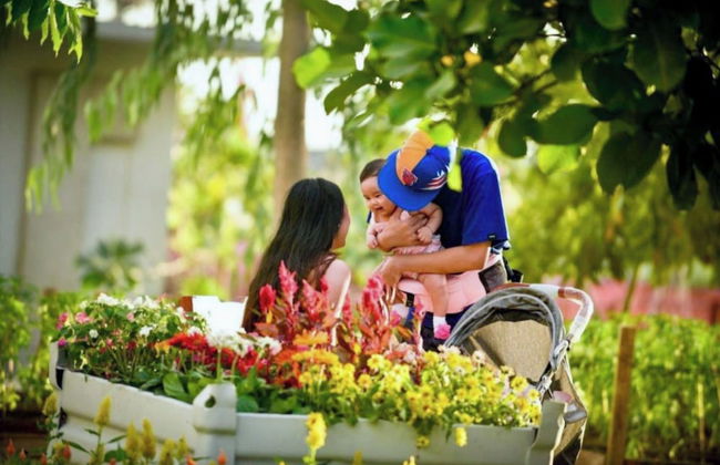 Pandora's Nest - Foto 54