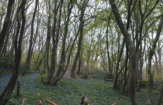 Dog Friendly Shepherd's Hut, Perfect for Couples - Photo 19