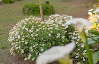 Le Sfogliatine - Casa Vacanze - Photo 35