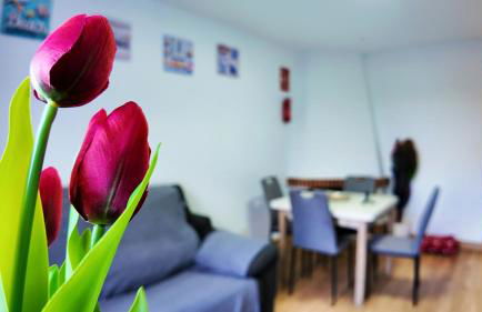 Apartalux Gold Oasis - Foto 25