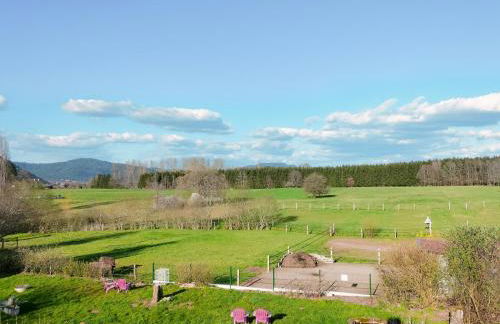 Les Chanterelles La souris des champs - Foto 59