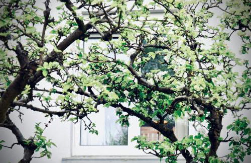 Löwenherz Appartements - Foto 57