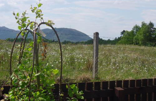 Tower Ridge Apartments - Photo 26