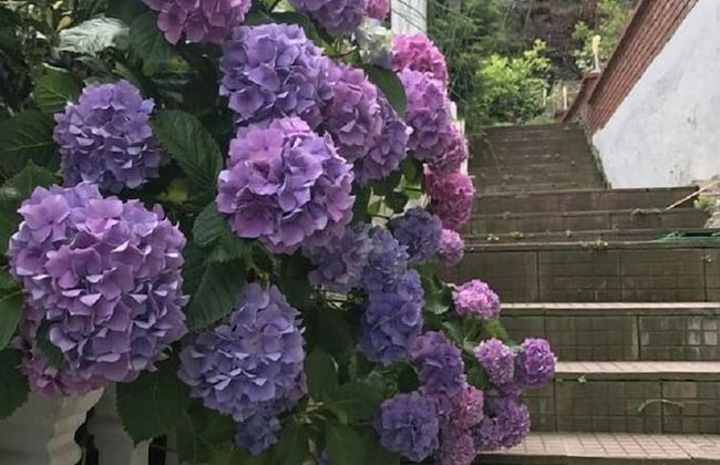 Butik Apart - Foto 10