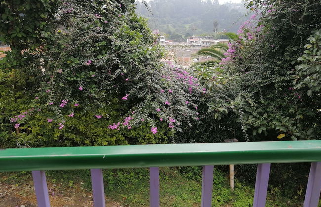 Café de Colores con balcon - Photo 24