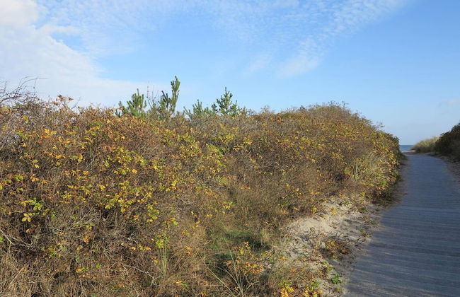 5 Person Holiday Home in Strandby-by Traum - Photo 7