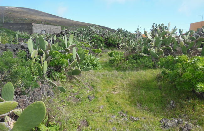Aborigen Bimbache Casa Rural - Foto 37