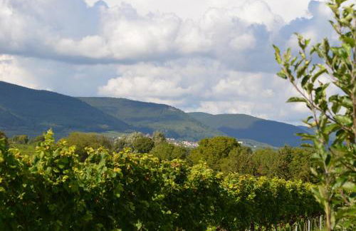 Ferienhaus - Kern - Foto 39