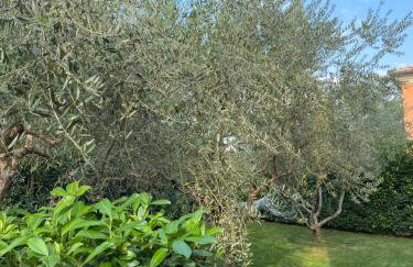 Villa Eva Karigador - Photo 56